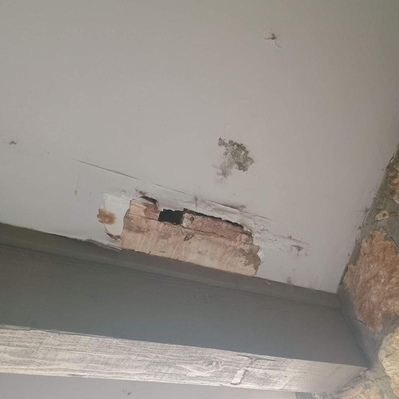 Drywall ceiling with water damage and mold growth Drywall ceiling with water damage and mold growth