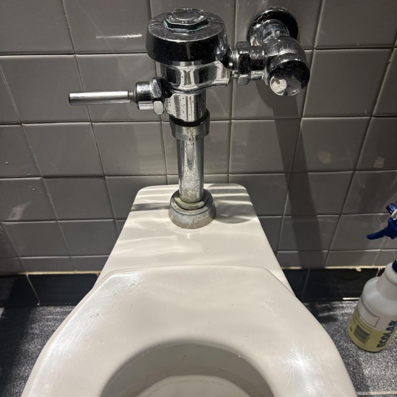 Fluorometer toilet valve with chrome flushometer Fluorometer toilet valve with chrome flushometer