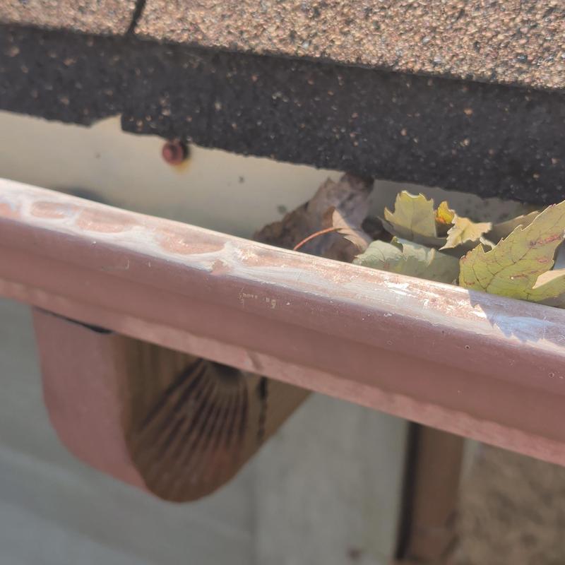 Gutter with debris and roof shingle edge visible