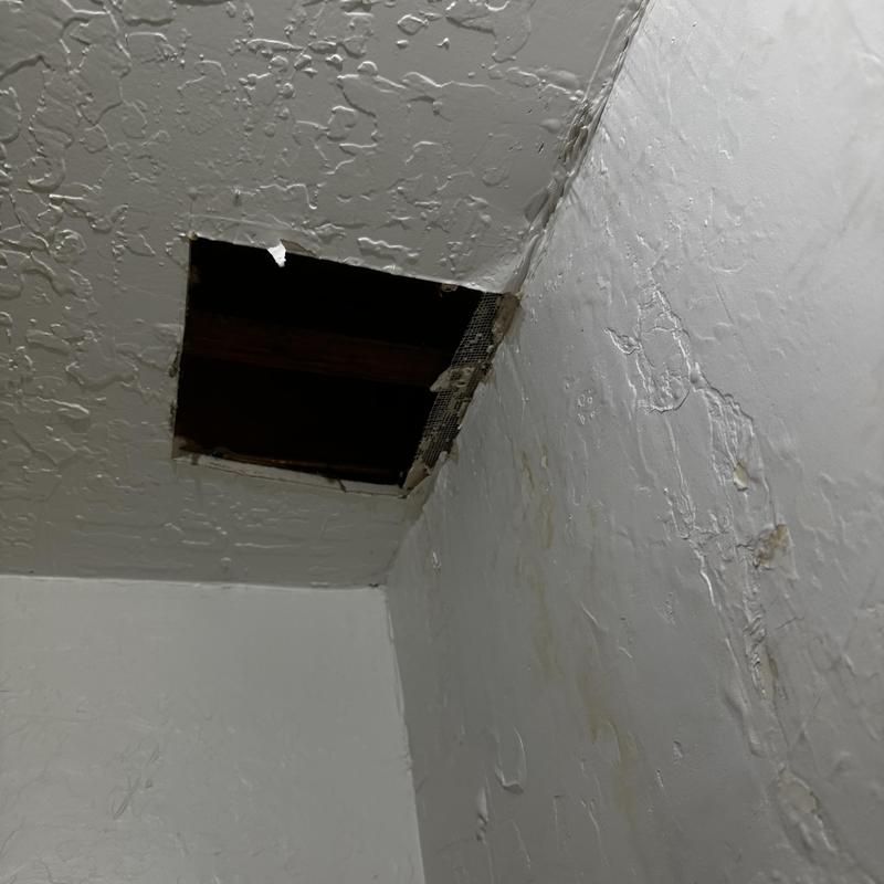 Bathroom ceiling water damage below shower leak inspection