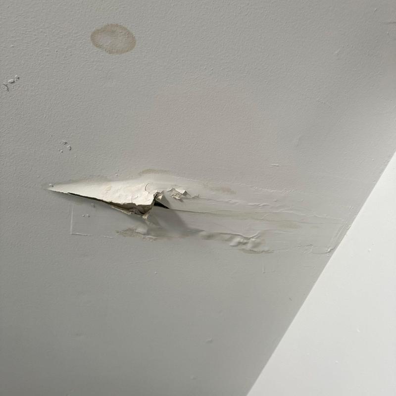 Ceiling drywall water damage and peeling paint Ceiling drywall water damage and peeling paint