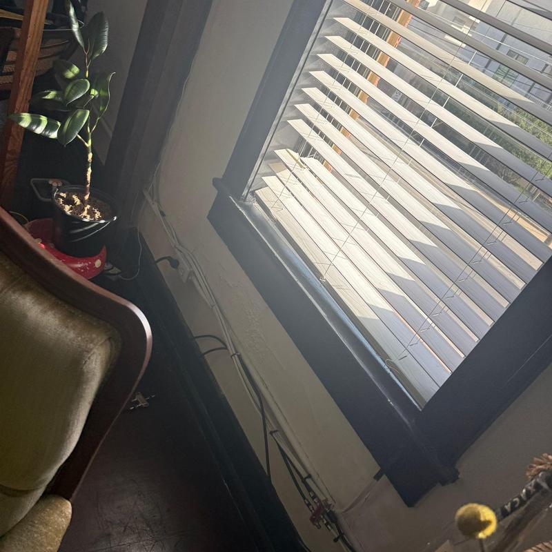 Window blinds with sunlight filtering through slats Window blinds with sunlight filtering through slats