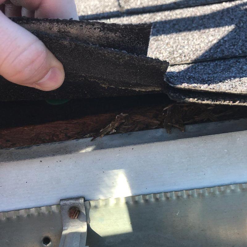 Damaged shingle roof edge lifted to show wood decay