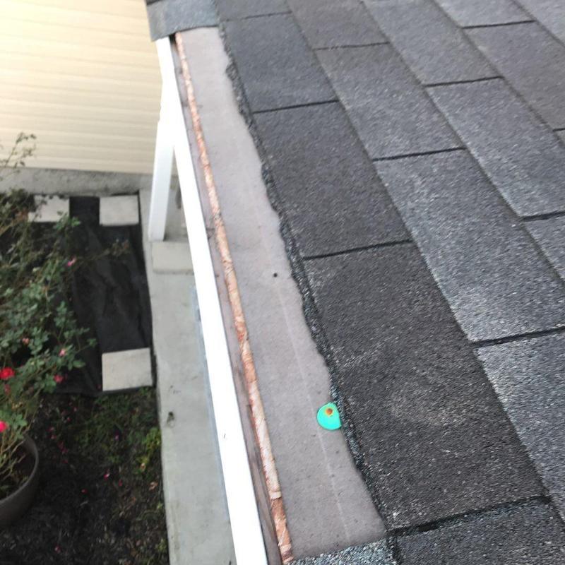 Asphalt shingle roof with exposed copper drip edge