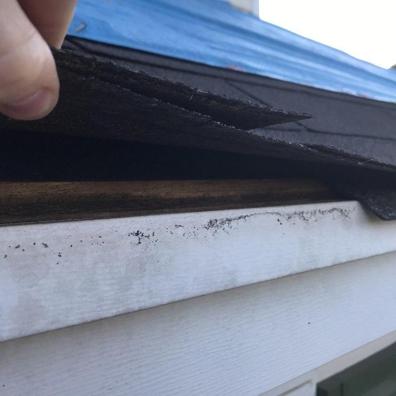 Shingle roof edge lifted to show underlayment layers