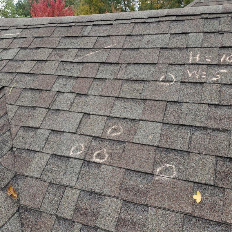 Shingle roof with chalk-marked hail damage areas