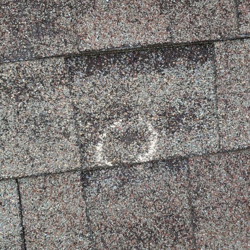 Asphalt roof shingle with hail damage circle marked