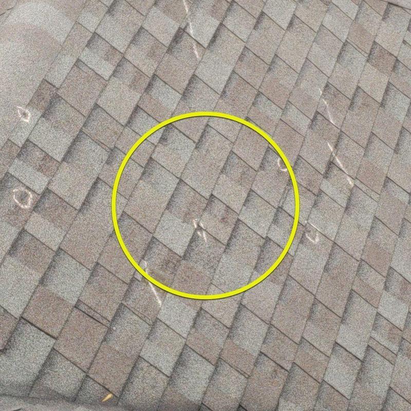 Asphalt shingle roof with hail damage markings