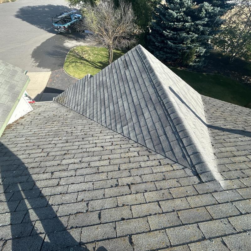 Asphalt shingle roof surface with wear and debris
