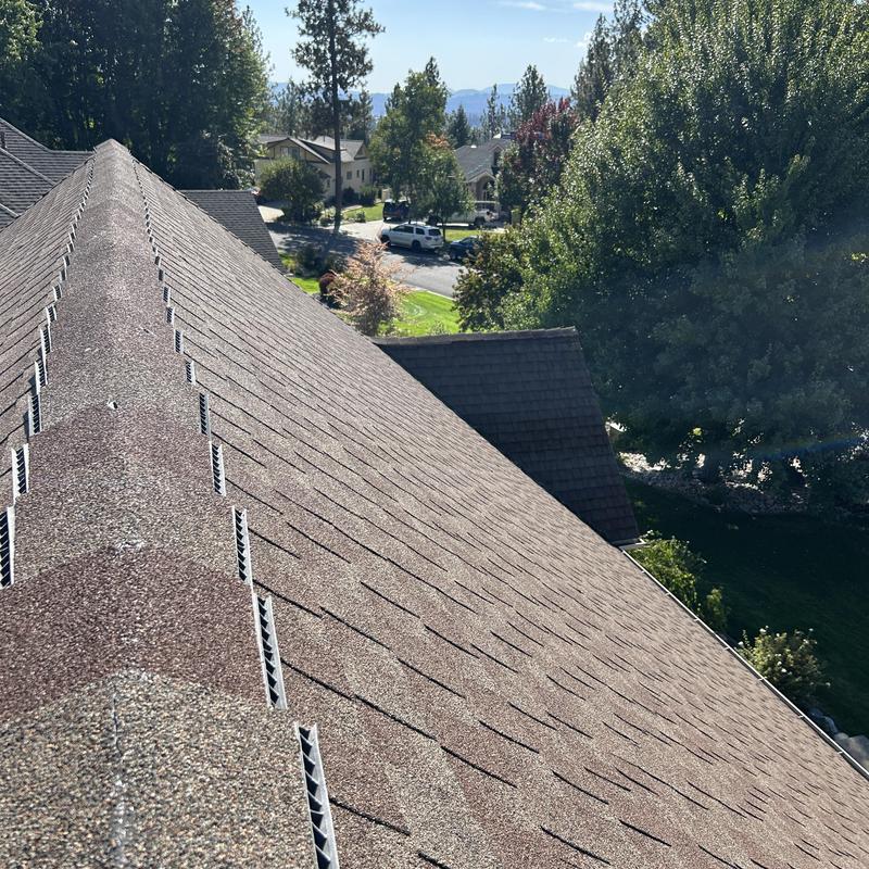 Asphalt shingle roof with ridge vents inspection