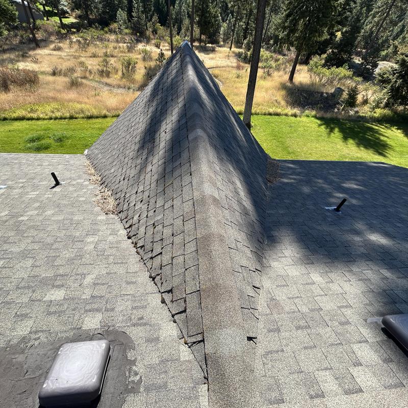 Asphalt shingle roof ridge with visible wear and debris