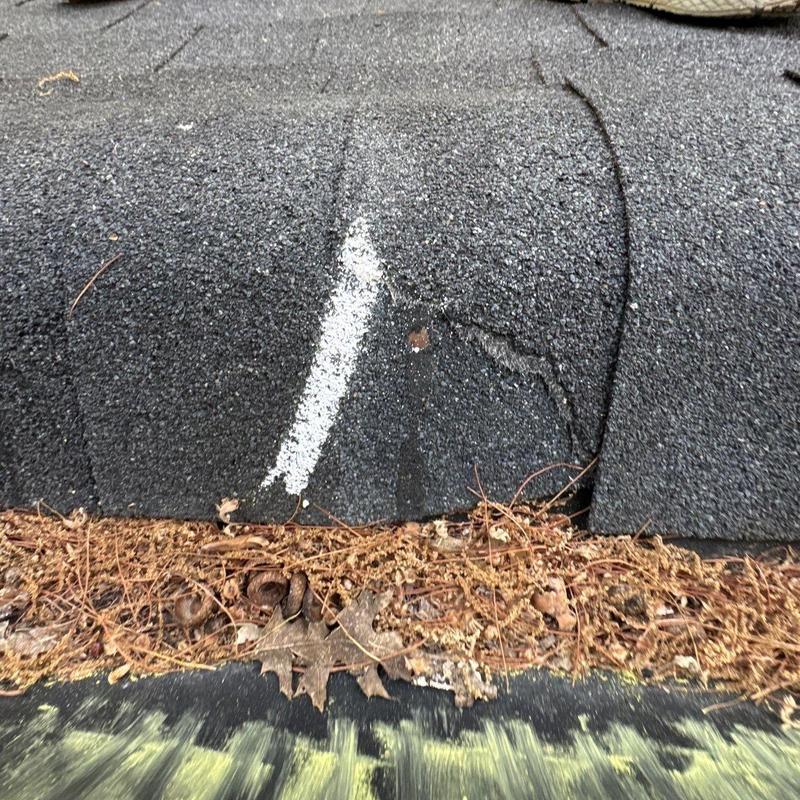 Asphalt roof shingle damage with debris buildup