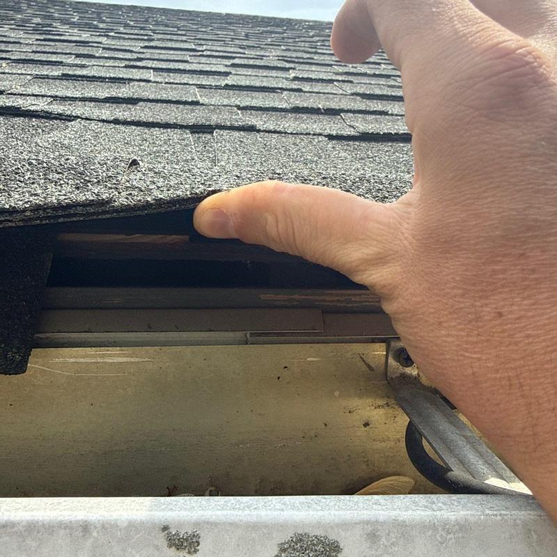Asphalt shingle roof inspection showing lifted shingle edge
