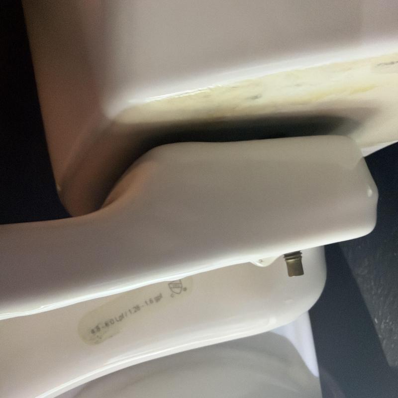 Toilet flush handle and tank connection close-up