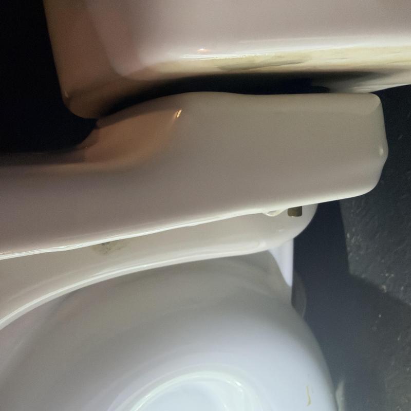 Toilet seat and bowl close-up with mounting bolt visible