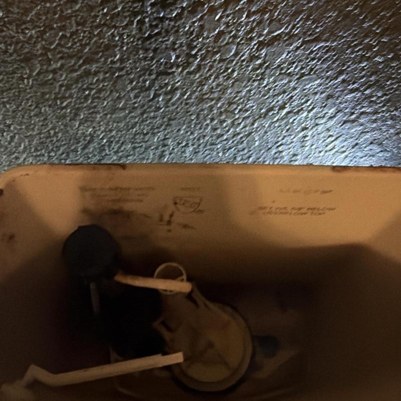 Toilet tank flush valve assembly and fill mechanism inside