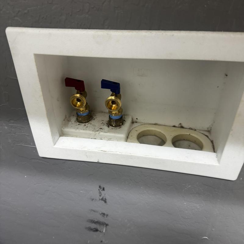 Laundry valves with new brass fittings in wall box Laundry valves with new brass fittings in wall box
