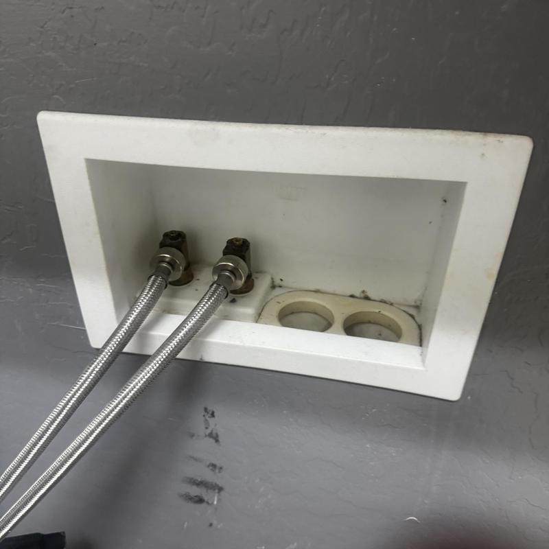 Laundry valve box with supply lines installed Laundry valve box with supply lines installed