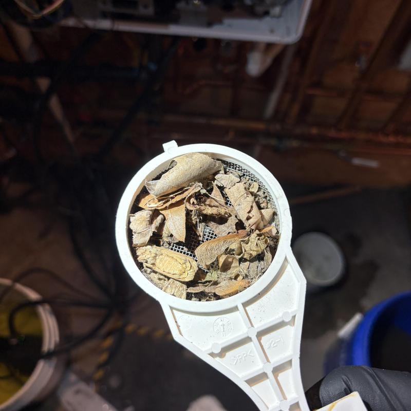 Boiler filter clogged with debris and leaves Boiler filter clogged with debris and leaves