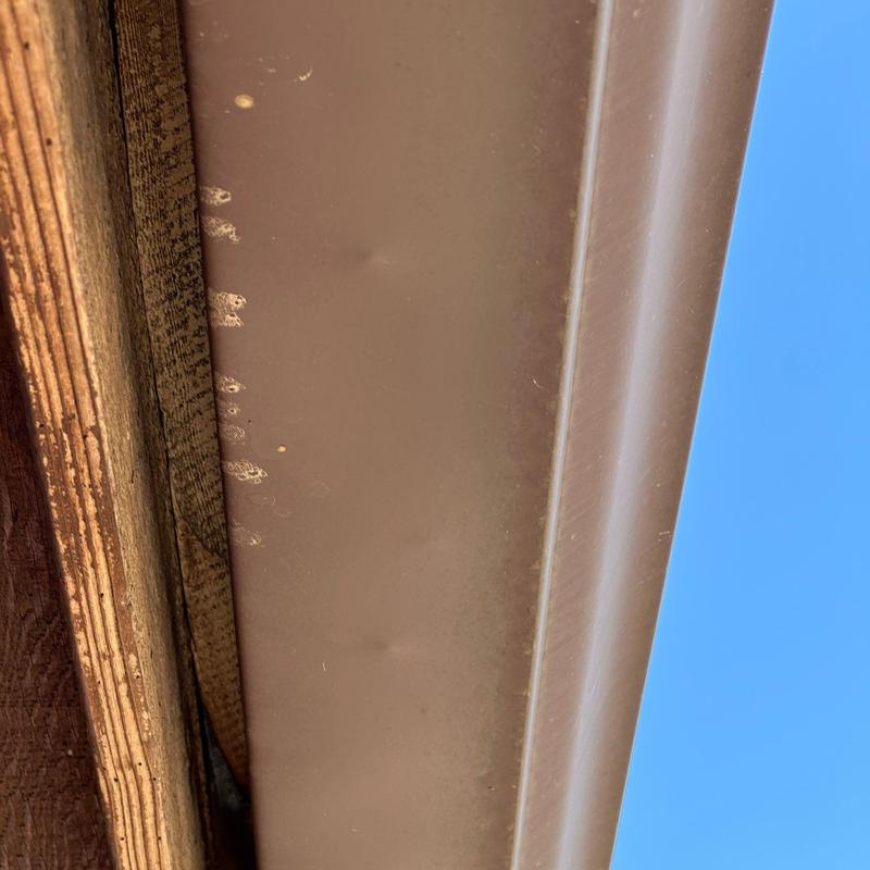 Metal roof panel with hail damage close-up Metal roof panel with hail damage close-up