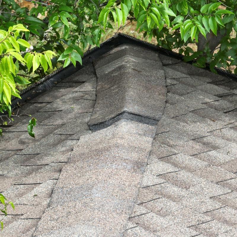 Shingle roof ridge with edge bird netting and leaves Shingle roof ridge with edge bird netting and leaves