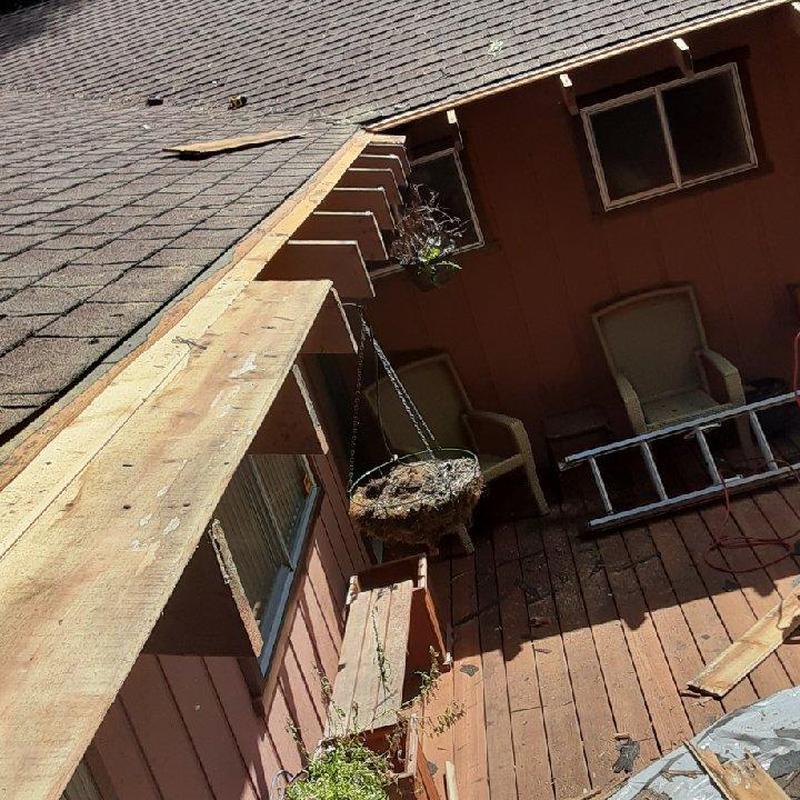 Asphalt shingle roof with wooden fascia and porch area