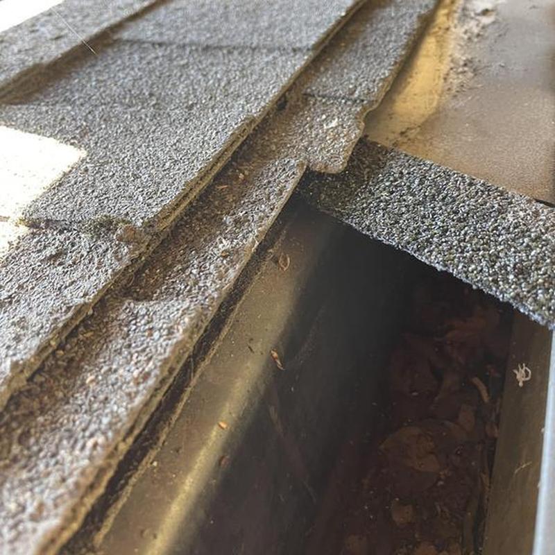 Asphalt shingles lifted near debris-filled gutter