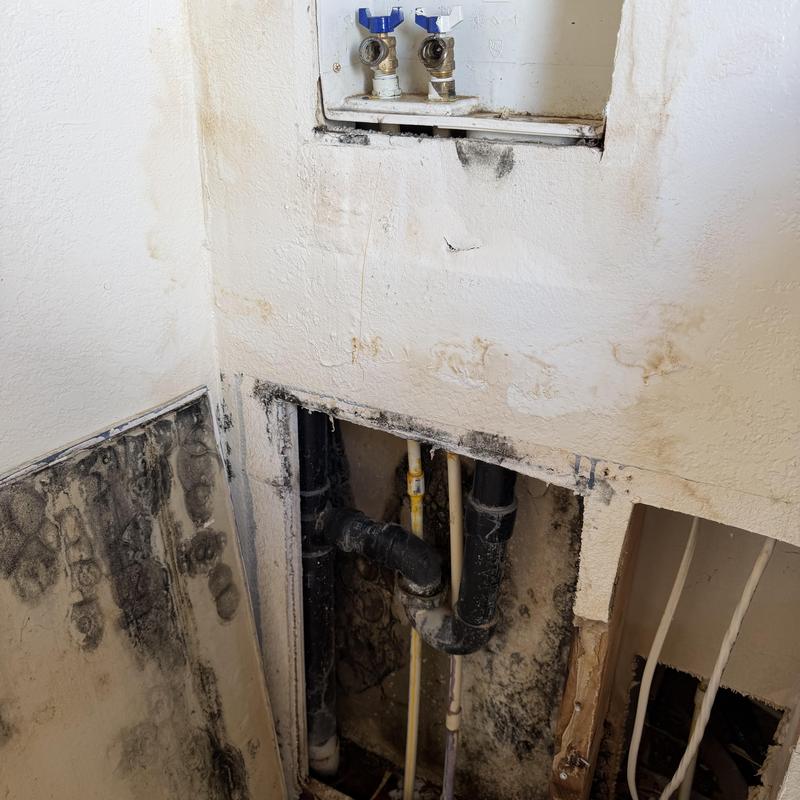 Washer box plumbing with mold damage on walls Washer box plumbing with mold damage on walls