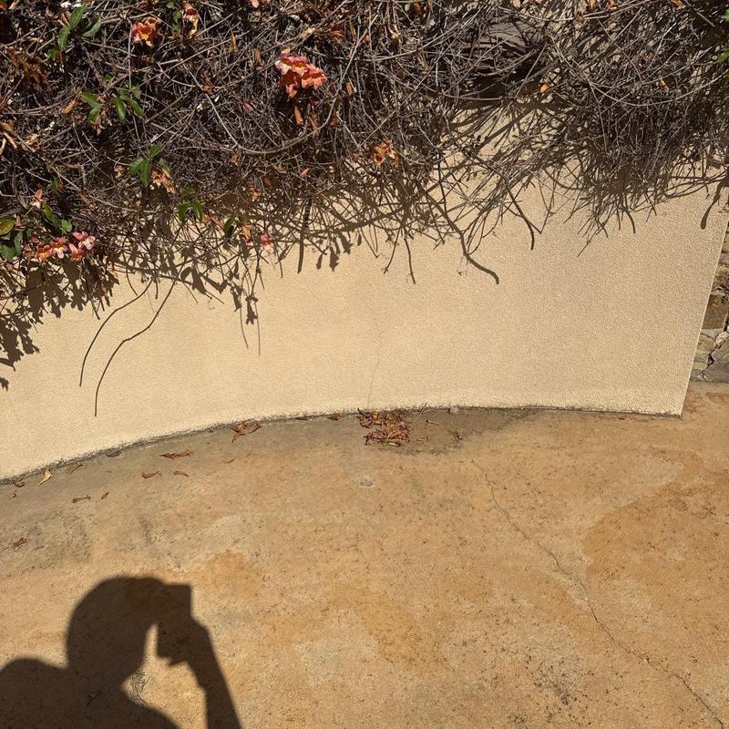 Stucco wall with dry vines and cracked concrete ground Stucco wall with dry vines and cracked concrete ground