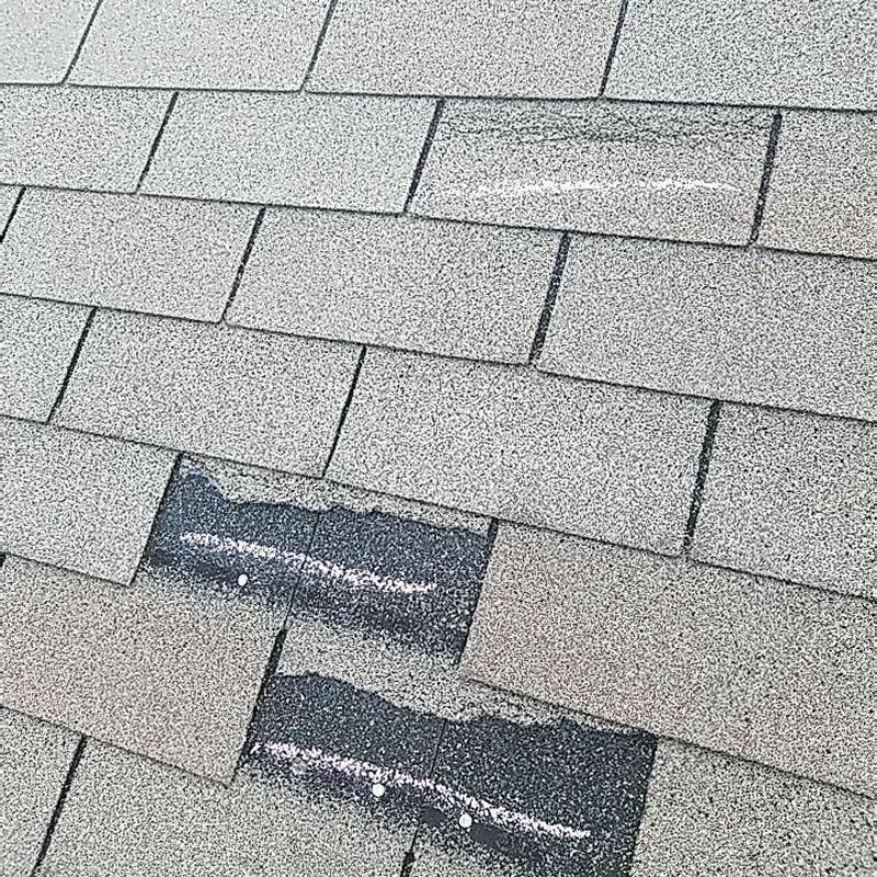 Shingle roof with hail damage on gray shingles