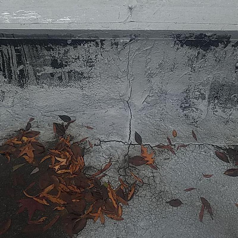 Concrete roof with cracks and fallen leaves