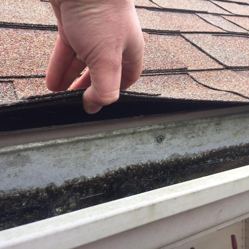 Asphalt roof shingles lifted to inspect gutter buildup