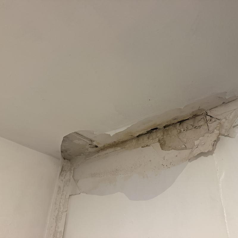 Ceiling drywall with water damage and cracks Ceiling drywall with water damage and cracks