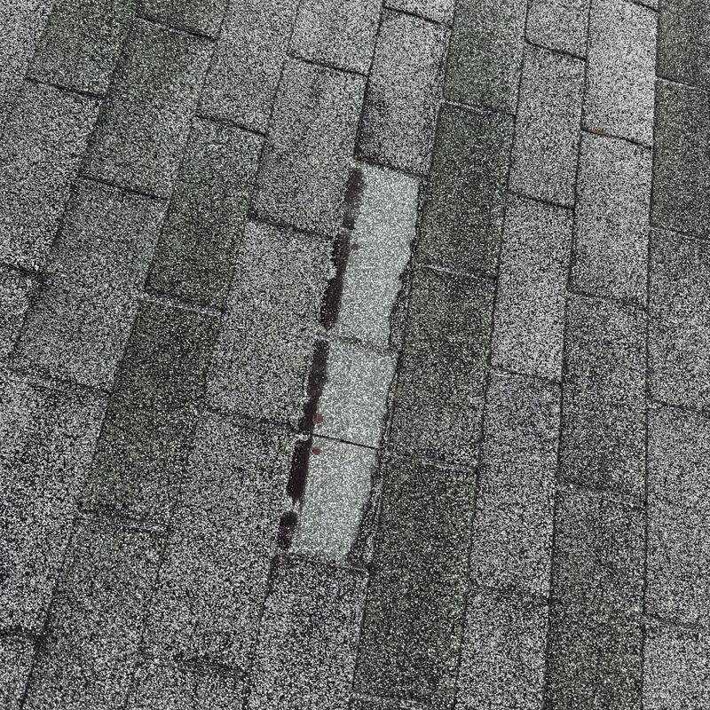 Roof shingle with granule loss and damage marker line Roof shingle with granule loss and damage marker line
