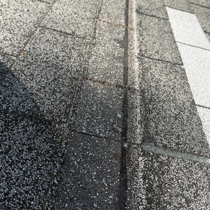 Asphalt shingles with heavy granule loss damage Asphalt shingles with heavy granule loss damage