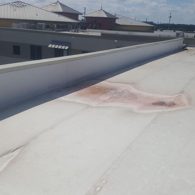 Flat roof membrane showing rust and damage spots Flat roof membrane showing rust and damage spots