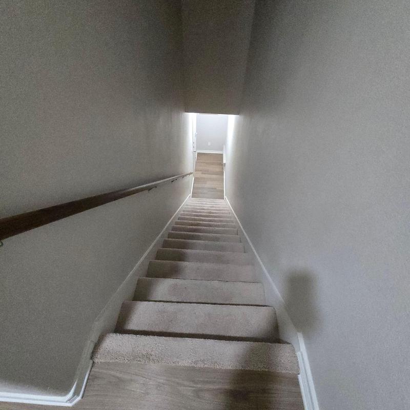 Carpeted interior stairway with wall handrail and hallway. Carpeted interior stairway with wall handrail and hallway.