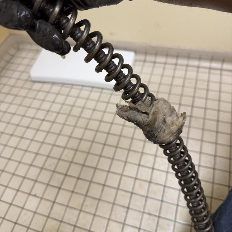 Toilet drain snake clogged with debris in tiled bathroom Toilet drain snake clogged with debris in tiled bathroom