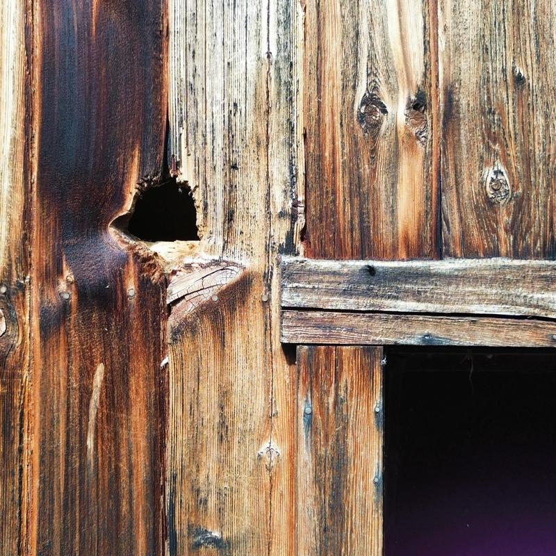 Cedarwood siding with woodpecker damage hole Cedarwood siding with woodpecker damage hole