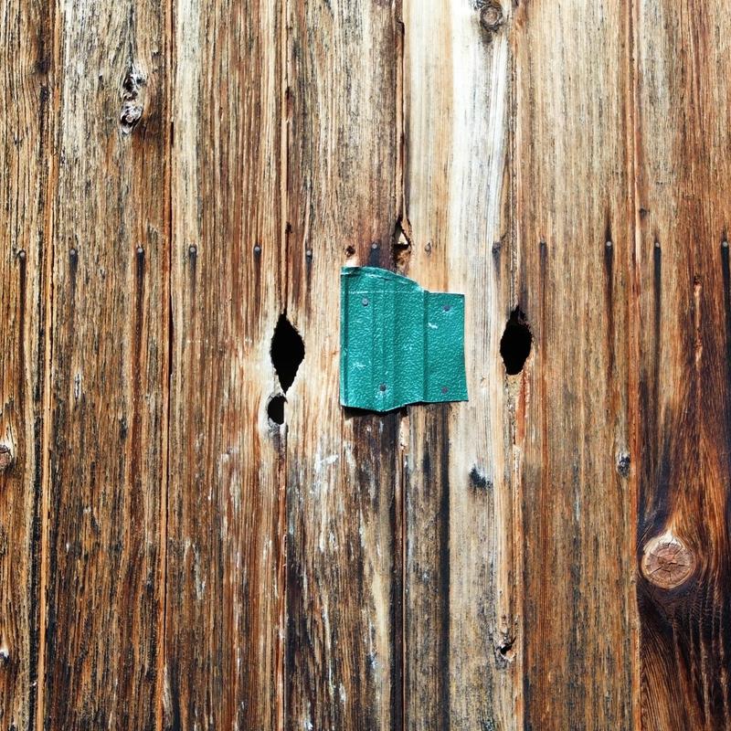 Cedarwood siding with woodpecker damage holes Cedarwood siding with woodpecker damage holes