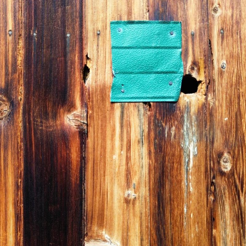 Cedarwood siding with woodpecker damage and holes Cedarwood siding with woodpecker damage and holes