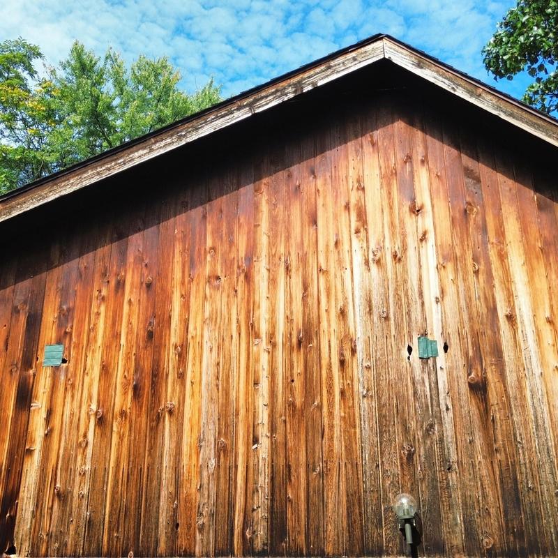 Cedarwood siding with woodpecker holes on house exterior Cedarwood siding with woodpecker holes on house exterior
