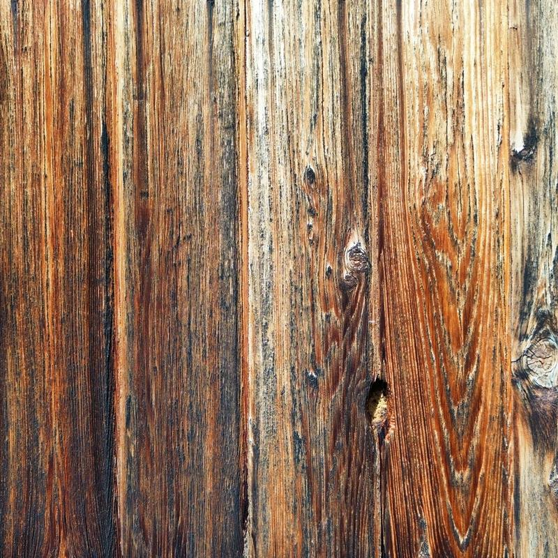 Cedarwood siding with woodpecker damage hole Cedarwood siding with woodpecker damage hole