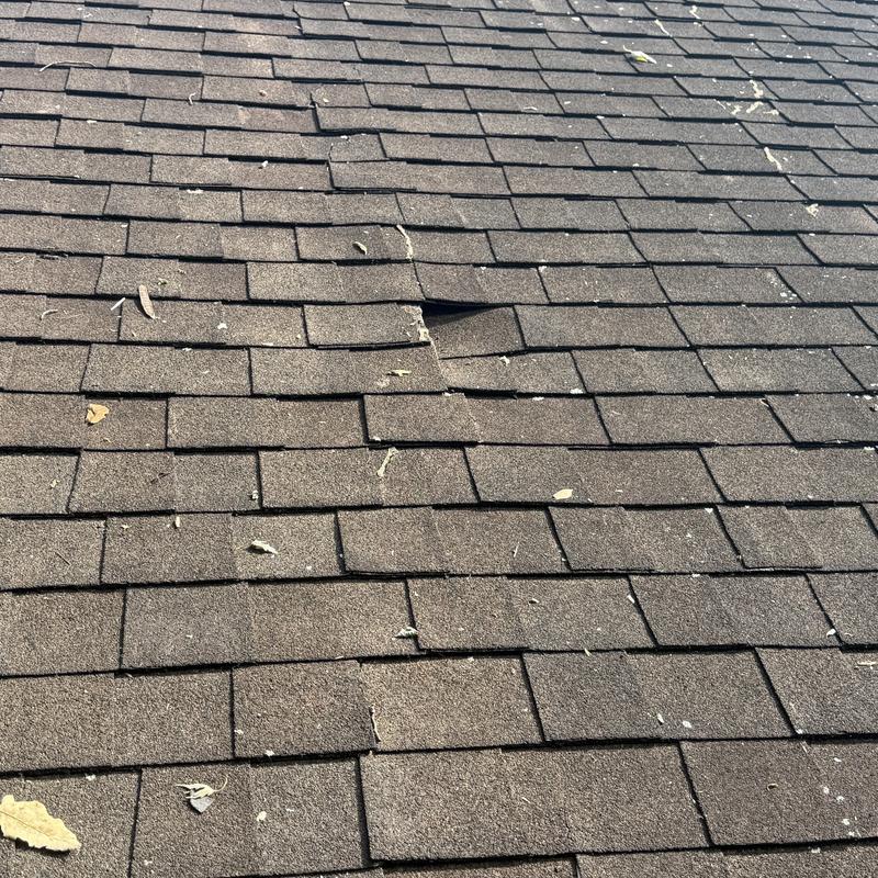 Asphalt shingle roof with torn and lifted shingles Asphalt shingle roof with torn and lifted shingles