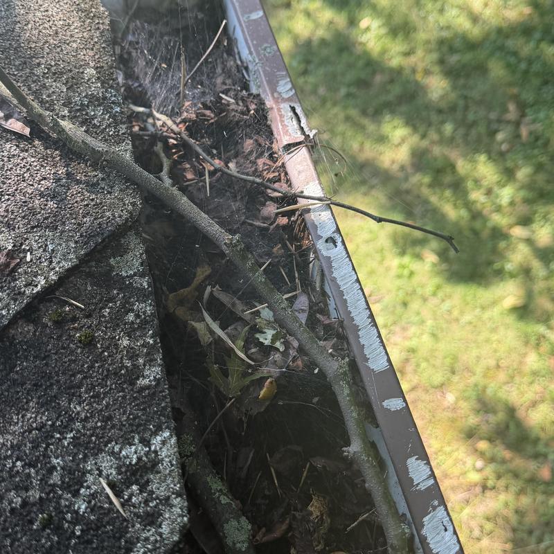 Gutter clogged with sticks and debris on roof edge Gutter clogged with sticks and debris on roof edge