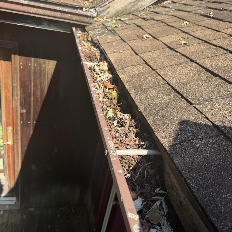 Gutter filled with leaves and debris on shingled roof Gutter filled with leaves and debris on shingled roof