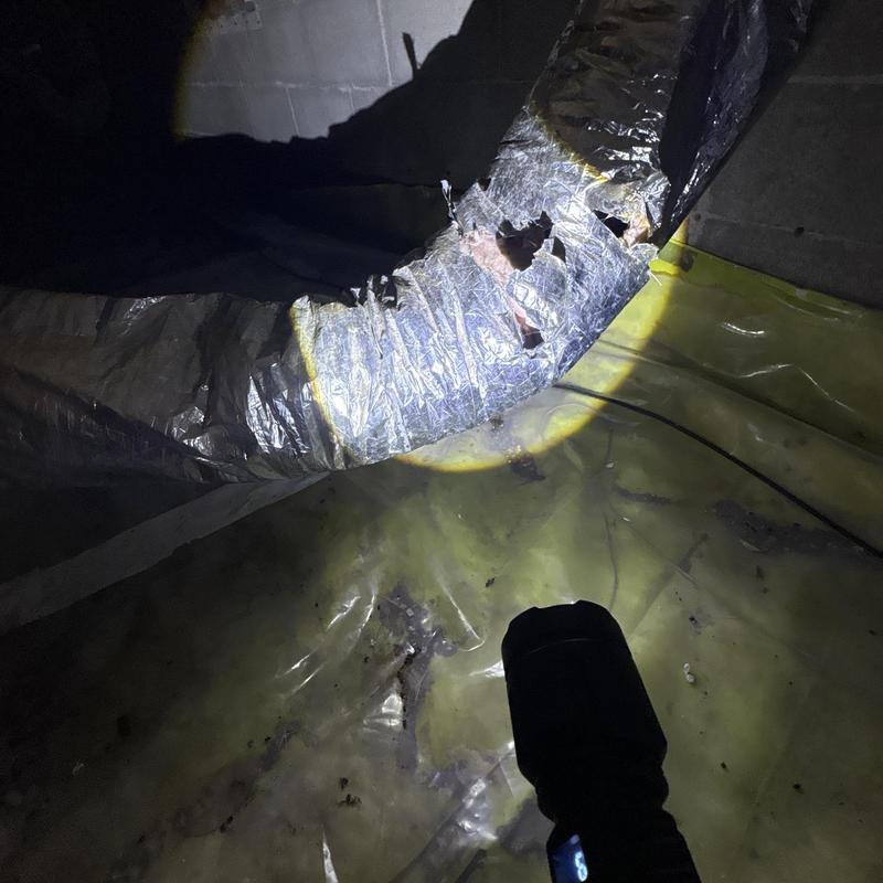 Insulated HVAC duct with multiple tears in crawlspace