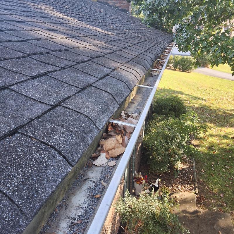 Asphalt shingle roof with debris-clogged gutter Asphalt shingle roof with debris-clogged gutter