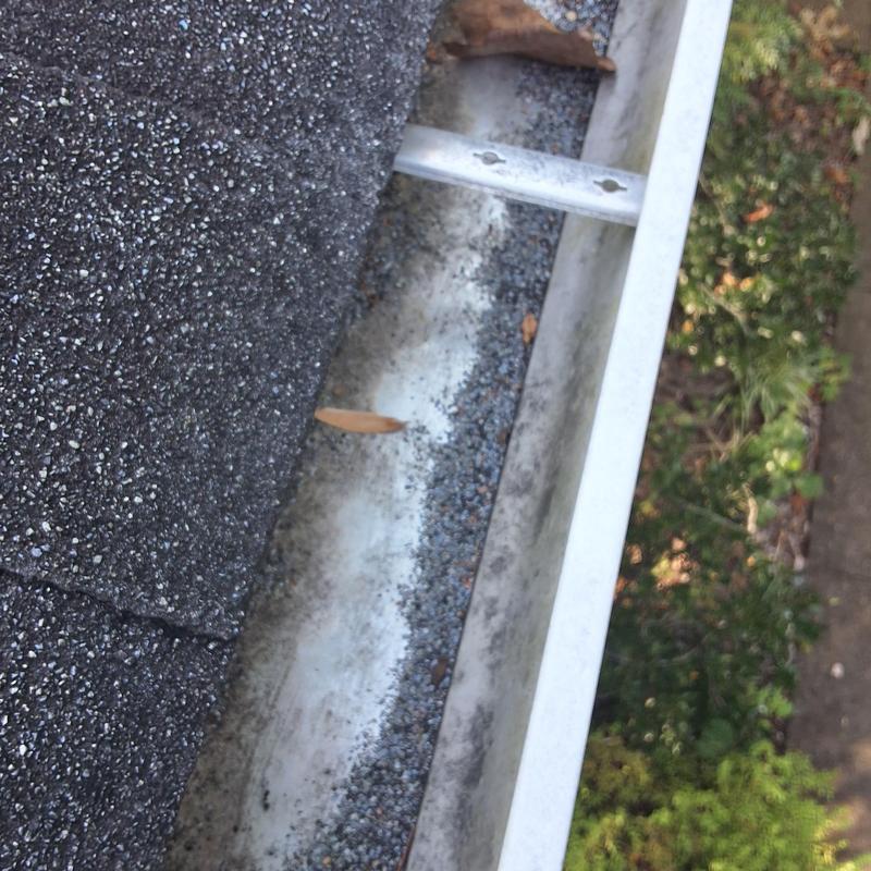 Asphalt shingle roof and metal gutter inspection with debris Asphalt shingle roof and metal gutter inspection with debris
