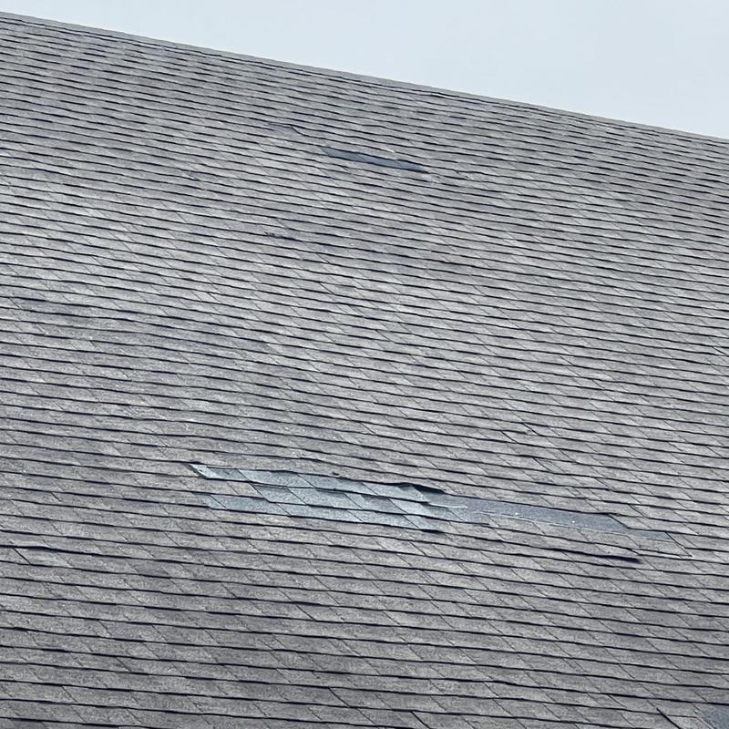 Asphalt shingles with visible damage on roof